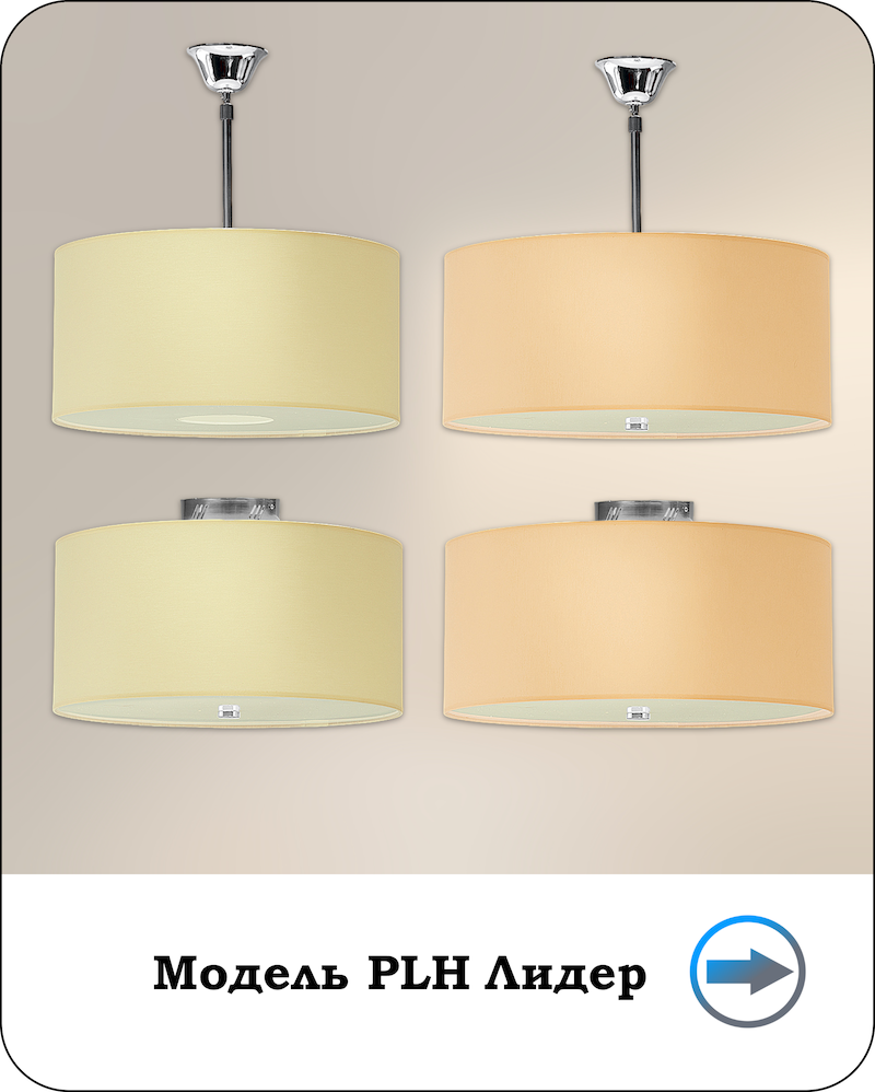 Модель PLHЛИДЕР